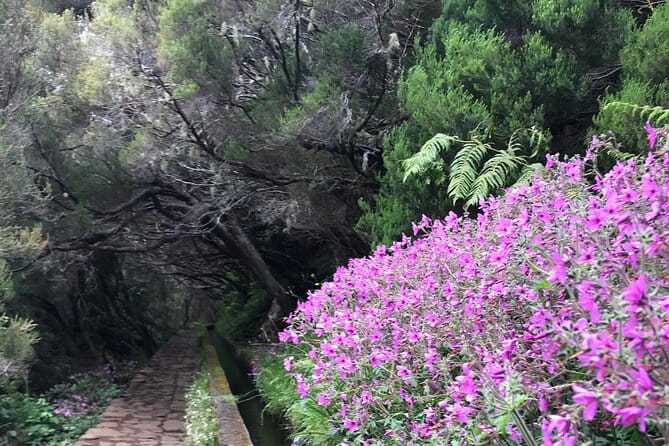 Twenty-Five Fountains Levada walks (private) - Final Thoughts: Who Should Book This Tour?