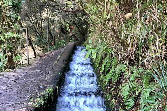 Twenty-Five Fountains Levada walks (private) - FAQ: Practical Questions About the 25 Fountains Levada Walk