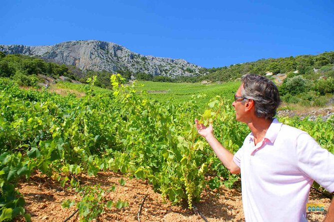 Twice the Wine - Two Wineries Half Day Tour, With Delicacies - Tour Specifics