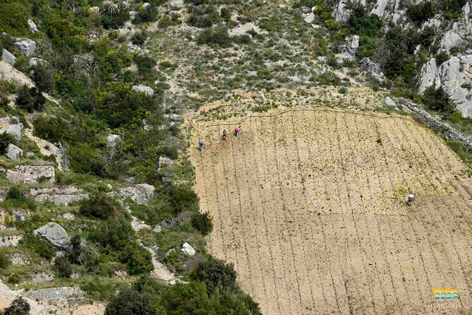 Twice the Wine - Two Wineries Half Day Tour, With Delicacies - Local Varietal Tastings