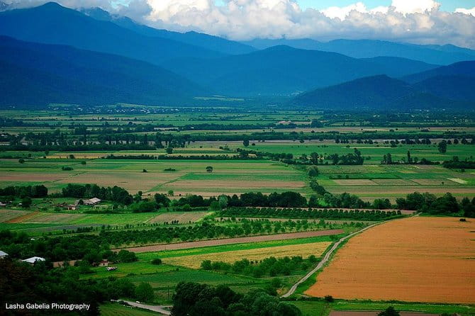 Two Days in Gorgeous Wine Region with Full board Meals and Tastings From Tbilisi - Exploring the Authenticity of Georgia’s Wine Heritage