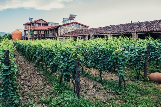 Two Days in Gorgeous Wine Region with Full board Meals and Tastings From Tbilisi - The Practicalities: What You Need to Know