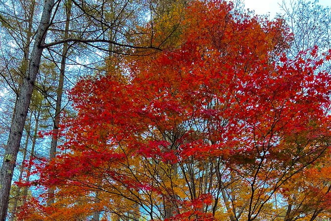 Two Days Nikko Cycling Tour Guided by a Local Monk - Cycling Through the Serene Landscapes of Nikko
