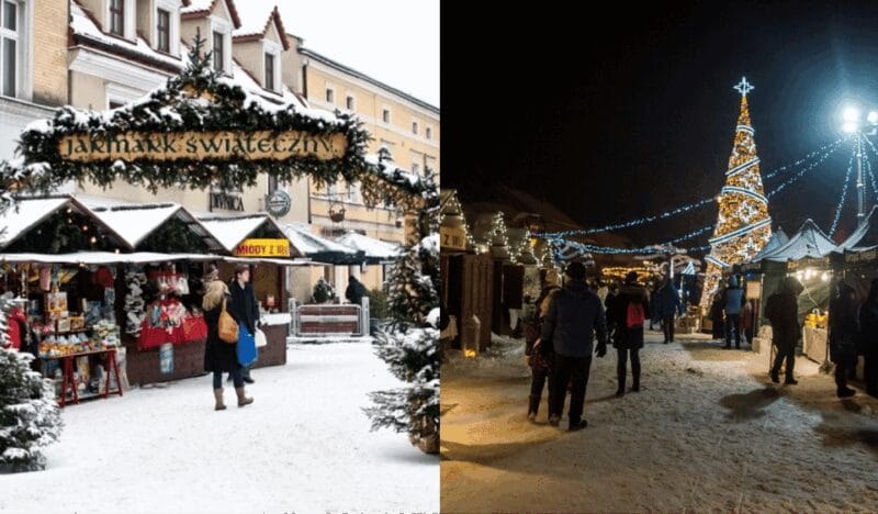 Tychy: Brewery Museum Tour with Tastings and Bison Reservoir - Final Words