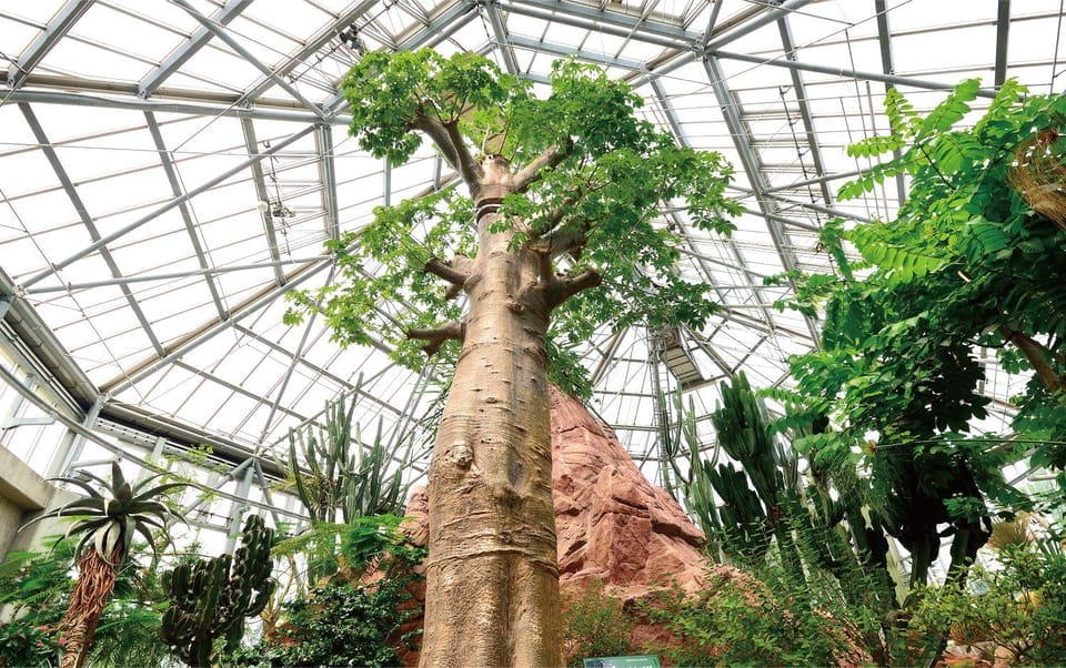 Ube City Experience Tour Yamaguchi Prefecture, Japan - Inclusions