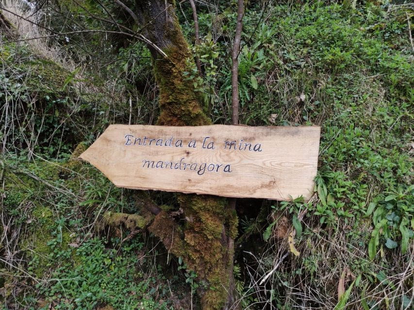 Udias: Mineral and Rock Workshop With Visit to Mine and Cave - Important Recommendations