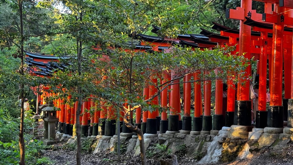 Uji & Fushimi Inari Adventure: Tea, Temples, and Torii Gates - Pickup and Cancellation Policy