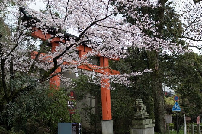 Uji Tea Ceremony and UNESCO Heritage Walking Tour - Explore the Historical Significance of Byodo-in