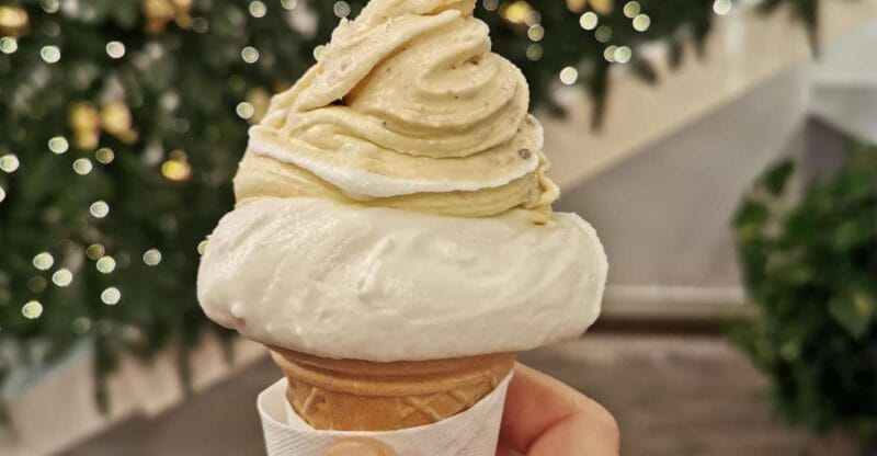 Ultimate gelato experience in Bologna - Key Points / Takeaways