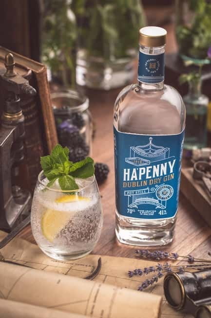 Ultimate Guinness, Whiskey & Gin Irish Trilogy Experience - Exploring Dublin’s Spirit Heritage: The Itinerary in Detail