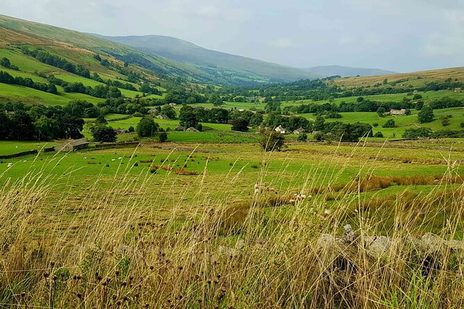 Ultimate Yorkshire Dales Tour - Magnificent Views - Photo Stops - Expert Guide - Price and Value: Is It Worth It?