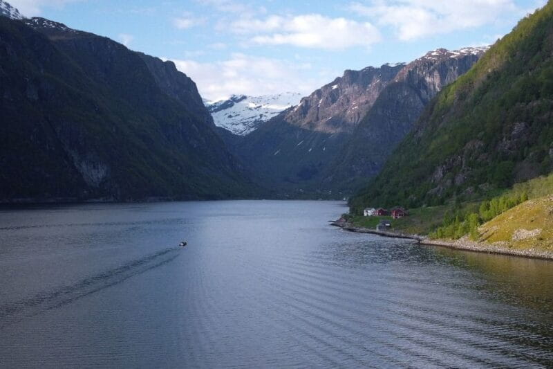 Ulvik: Hardangerfjord Ultimate RIB Safari - Final Thoughts: Is It Worth It?
