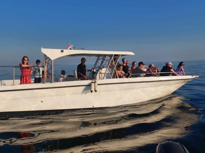 Umag: Dolphinwatching & sunset panorama tour - Key points / Takeaways