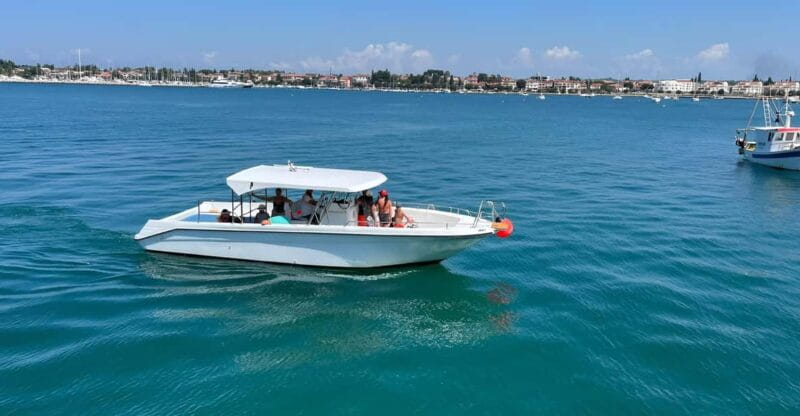 Umag: Snorkeling & dolphinwatching morning boat tour - Key Points / Takeaways