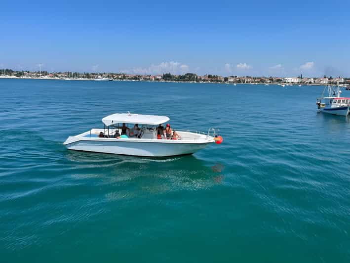Umag: Snorkeling & dolphinwatching morning boat tour - The Price and Why It’s a Good Deal