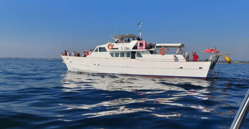 UMAG: Swimming&Panorama / Welcome Drink and Dolphin spotting - Who This Experience Is Best For