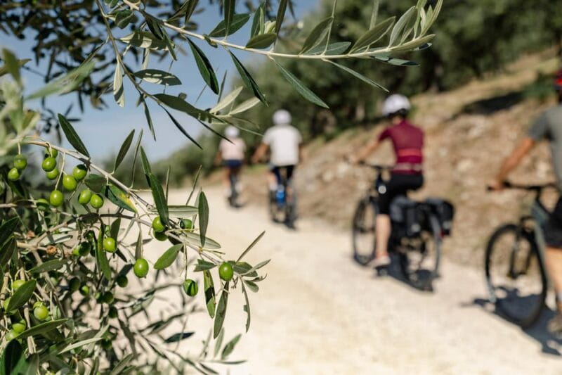 Umbria: E-Bike Rental and Fresh EV Olive Oil Tasting - Authentic Olive Harvesting and Local Culture