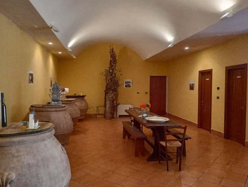 Umbria: guided tour to traditional oil mill + tasting - The Tasting Experience: From Bread to Cheese and Wine