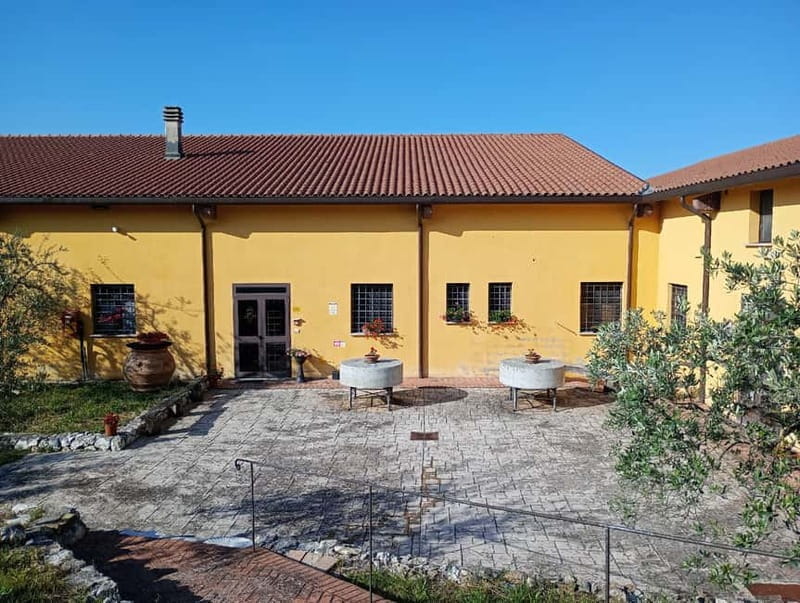 Umbria: guided tour to traditional oil mill + tasting - Practicalities and Value for Money