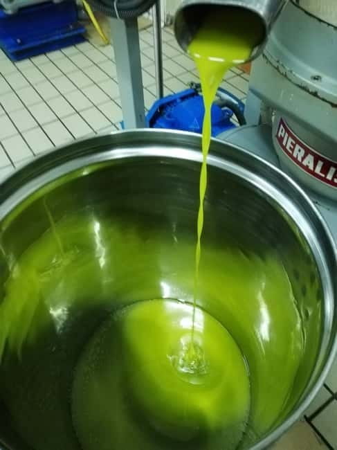 Umbria: guided tour to traditional oil mill + tasting - Who Will Love This Tour?