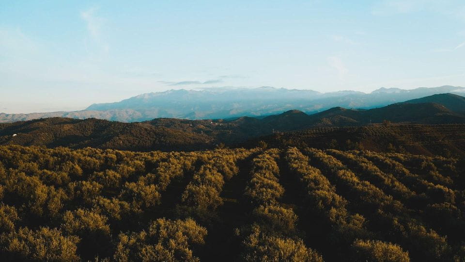 Uncharted East Crete & Local Secrets From Elounda - Frequently Asked Questions