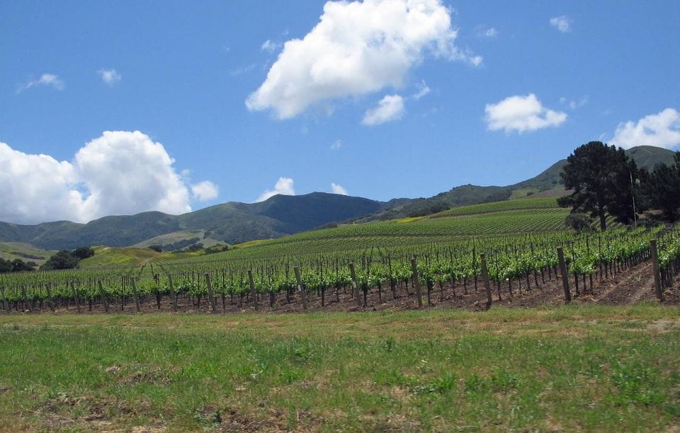 Uncork Santa Barbara: A Private Wine Country Tour - Tour Inclusions