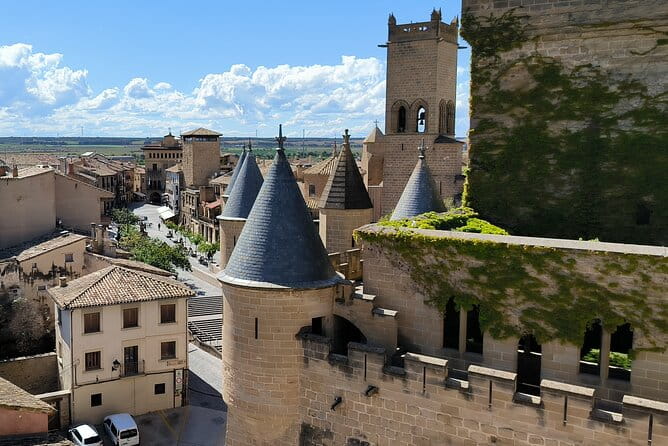 Uncorking Olite: A Private Wine Tour & Royal Castle Experience - Who Is This Tour Best For?