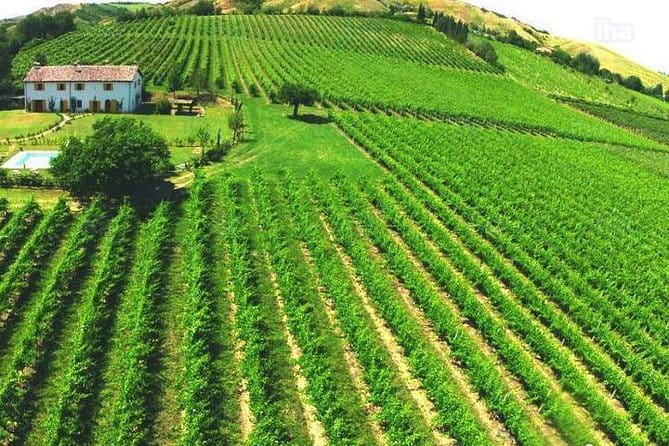 Under the Tuscan Sun Tour from Rome-Cortona & Montepulciano 1 day - FAQ