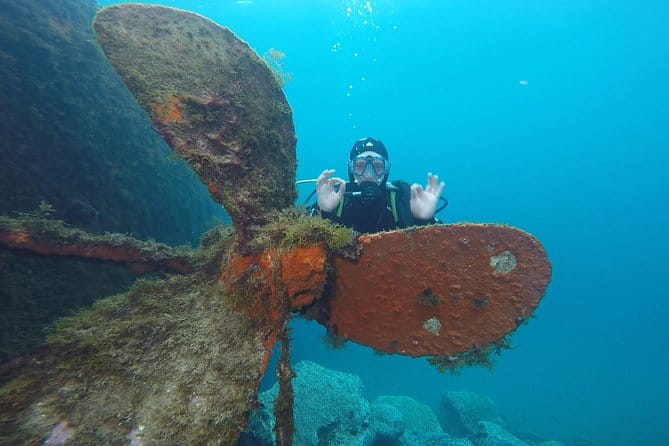 Underwater Archaeology Course - Who Will Love This Tour?