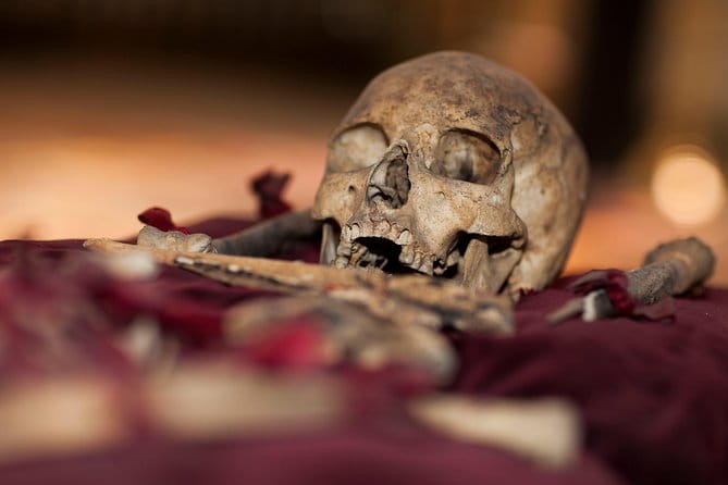 UNESCO Teplice - Premiant eGuide APP - Price and Value Analysis