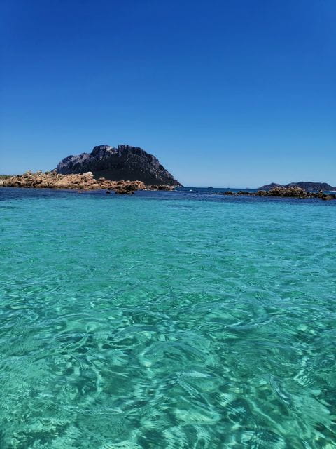 Unforgetable Group Tour of Tavolara and Molara Islands - Tour Guide Services