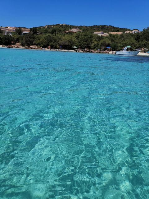 Unforgetable Group Tour of Tavolara and Molara Islands - Frequently Asked Questions