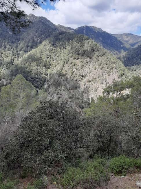 Unforgettable day on safari from Paphos to the Troodos mountains - The Sum Up