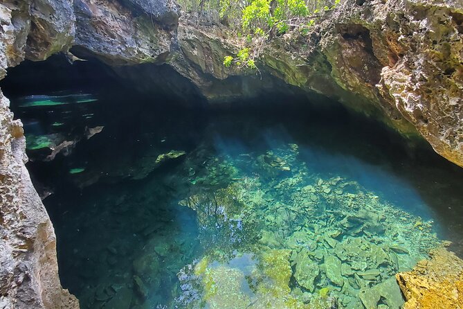 Unforgettable Land Tour on Long Island Bahamas - Customer Reviews