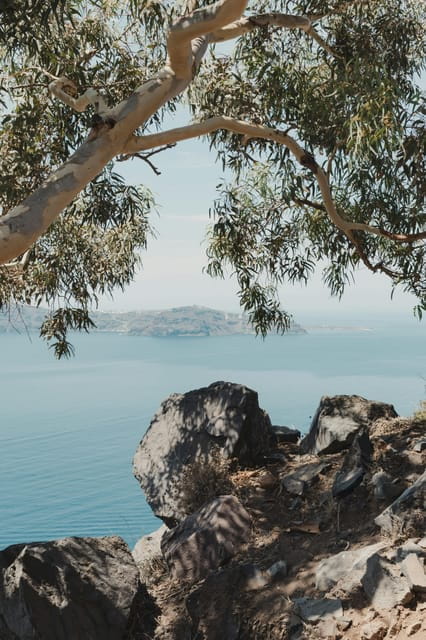 Unique 3-Hour Tour of Santorini for Cruise Ship Passengers - Price and Value Analysis