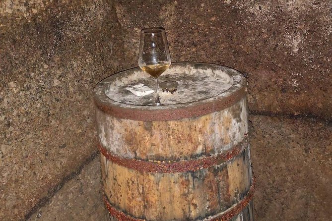 Unique Enobike Experience With Tasting in 2 Excellent Wineries - Pickup and Drop-off