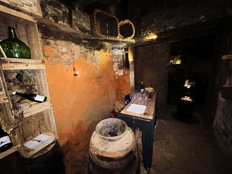 Unique experience in XVI winery with tasting near Salamanca - Key points / Takeaways