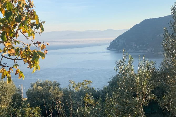 Unique Tour | Discovering Amalfi on a Minivan with driver - The Value of a Local Driver: Why It Matters