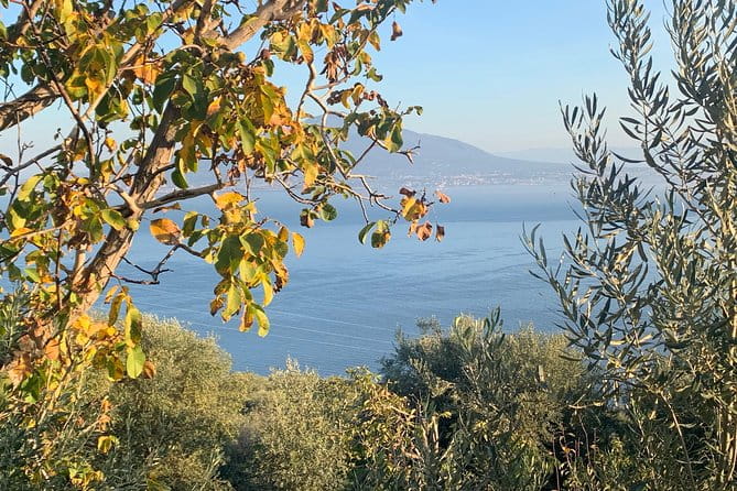 Unique Tour | Discovering Amalfi on a Minivan with driver - FAQ