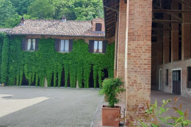 Unique wine tasting at Winery Marchesi Incisa della Rocchetta - An In-Depth Look at What This Tour Offers