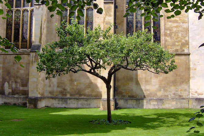 University Walking Tour - Key Sights and Attractions