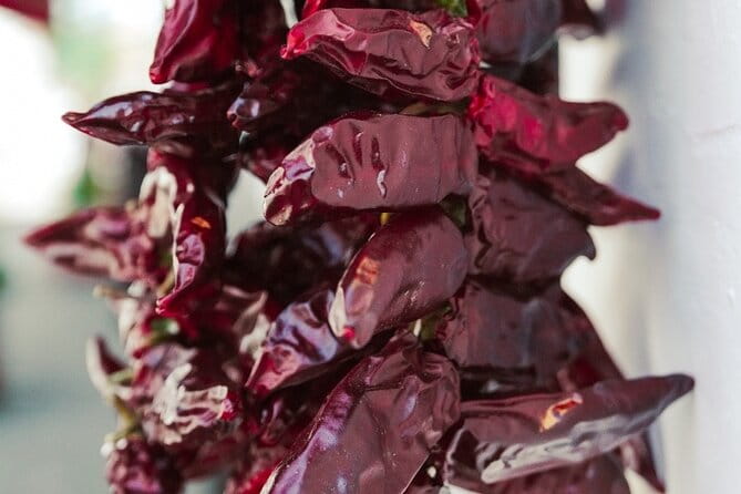 Unspoiled FRENCH BASQUE COUNTRYSIDE - Private Cultural Adeventure - The Sum Up