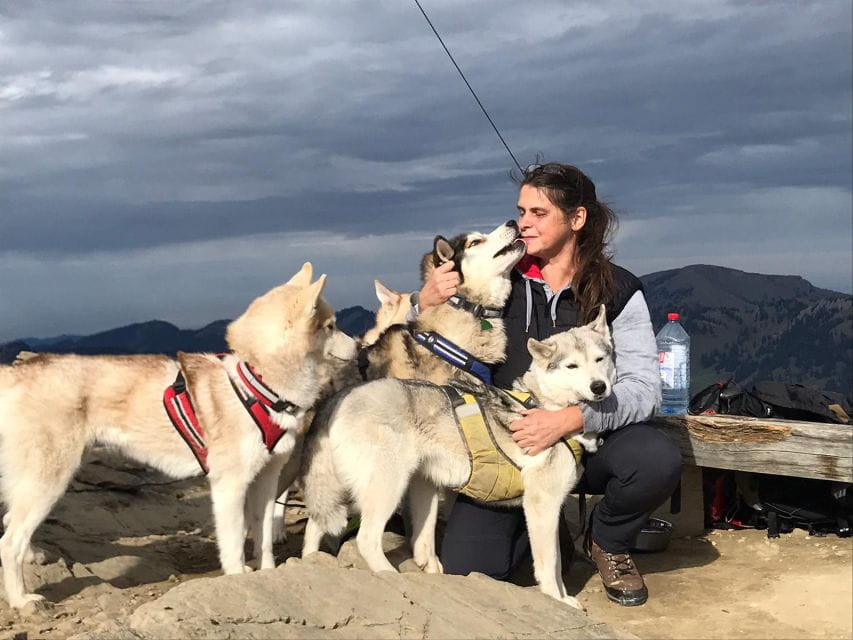 Unterallgäu: Wiedergeltingen Guided Hike With Huskies - Tour Language and Description