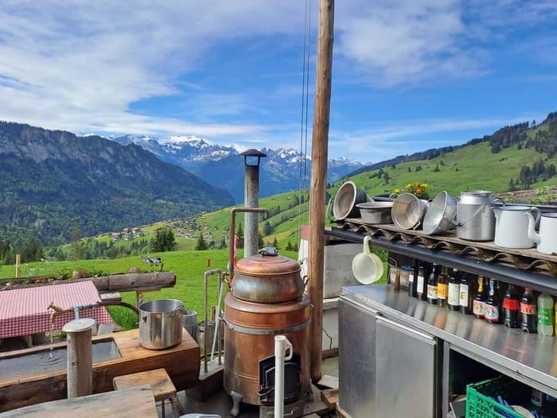 Unterseen: Alpine Cheese Farm Visit & Cheesemaking - Exploring Swiss Cheese in the Heart of the Alps: A Review of the Unterseen Cheese Farm Experience