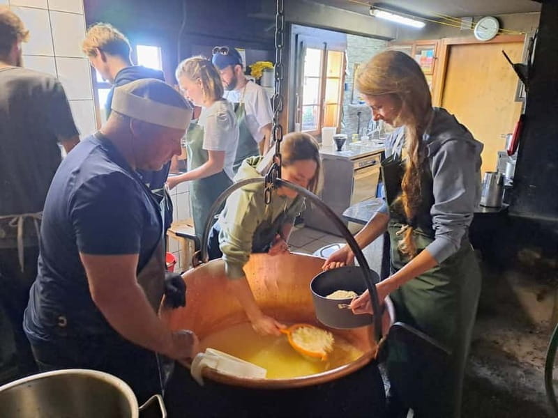 Unterseen: Alpine Cheese Farm Visit & Cheesemaking - Price & Value: Is It Worth It?