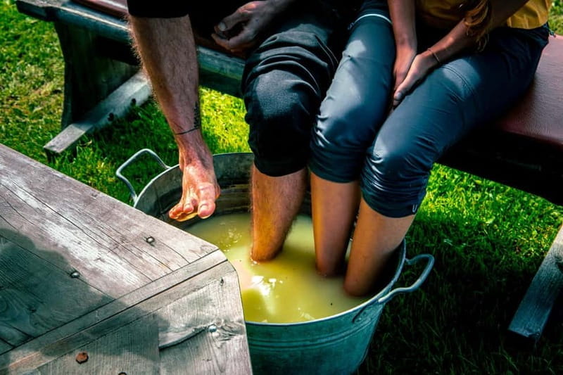 Unterseen: Alpine Cheese Farm Visit & Cheesemaking - Who Is This Tour Best For?