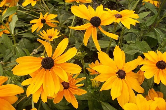 Unusual Prague 6 hours Private Tour to Spots Known and Unknown - Final Thoughts: Is This Tour for You?