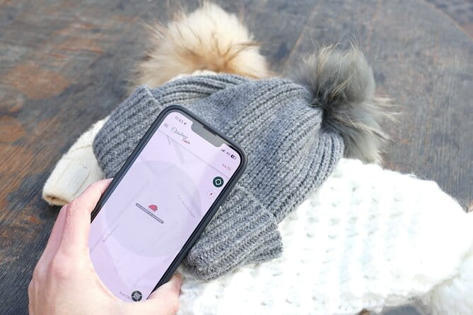 Unusual track game on Christmas markets in Toulouse - Discovering Toulouse’s Christmas Market Through a Unique Lens