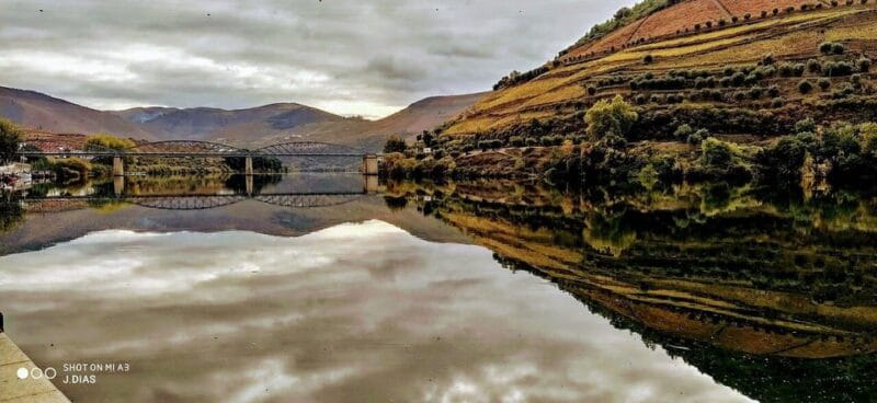 Upper Douro: From Casal de Loivos to Pinhão Walk & Wine Tour - Peso da Régua: A Quick Coffee Break and Cultural Pause