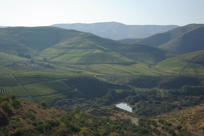 Upper Douro Walk & WineTour - Key Points / Takeaways